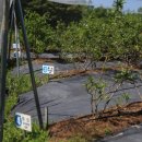 샘골농원 이미지