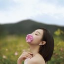 엘르 그라스 이미지