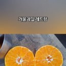 이마트24재송센트레빌점 이미지