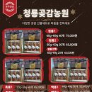 청룡곶감농원