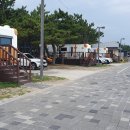 연곡해변 솔향기캠핑장 이미지
