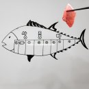 으뜸유통잡화 - 성북구 정릉로 450 | 참치 부위별 (적신, 아카미, 대뱃살) 등급, 이름(명칭), 종류, 가격