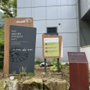 평창 백룡동굴 | 평창 동굴투어 &#39;백룡동굴&#39; 대한민국 유일의 탐방동굴