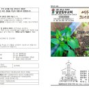 2026년 9월 6일_밀양동부교회 주보_73권 36호_오순절 후 열다섯 번째 주일 이미지