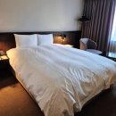 삼양카써비스 | 대방어 먹으러 겨울제주도 1박2일 여행코스