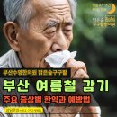 부산수영한의원 부산 여름철 감기 주요 증상에 따라 달라지는 한약처방!
