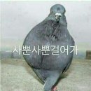 자연예서 이미지