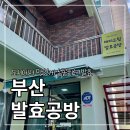 해피드림발효 이미지