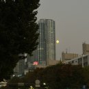 킹크럽 | 안녕 ! ~ ~ ~ ~ 유부클럽 입성