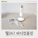 247핏(FIT) | 웰247 바디컷튠핏 내돈내산 후기 &amp; 사용법 총정리
