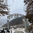 지니의 캠프 이미지