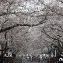 진해구 ⓒ-24 이미지