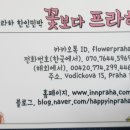 도브민박 이미지