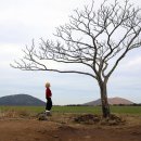 숲에오름협동조합 | 제주 대형버스 렌트 45인승 대절 제주도 가족여행 꿀 정보