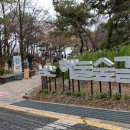 작은나무 큰숲도서관 이미지