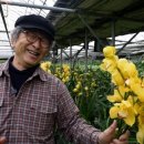 금탑농장 이미지