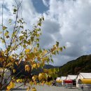 숲속향기캠핑장 이미지