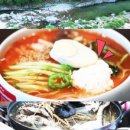 백반기행 고성맛집. 문어곱창전골. 생선모듬찜. 생선구이백반.포천향유갈비.태백실비집