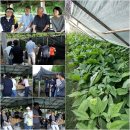 반달농장 이미지