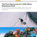 히말라야 이미지