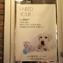 더쭈꾸미 이미지