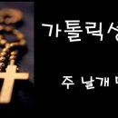 주날개밑