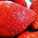 여주-0758 이미지