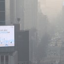 플래니터리헬스 한겨레