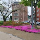 돌담경로당 이미지