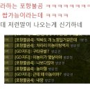 보라연합////대답!!!!///구이농형과 포항불곰형 똑바로 대답해 이미지