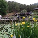 산청 한국에서 가장 아름다운 마을 1호, 남사예담촌에서의 감성 여행