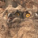 상곡농장 이미지