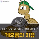박달과학화예비군 2훈련장 동미참 4일 정보글(국정원급 꿀팁)