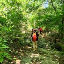 더숲요양병원 이미지