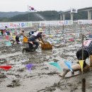 벌교 참꼬막 한깡에 80만원 '입이 쩍'..갯벌 뻘배대회서나 맛볼 듯 이미지