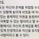 임**-4 Daum카페