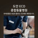 가야종합동물병원 이미지