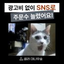 광고비 없이 SNS로 주문 상승했다!? 셀러들의 대나무숲 - 스마트스토어 상위노출 솔루션 매모판