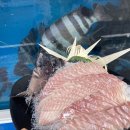 명당횟집 이미지