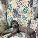 개중목욕탕 이미지