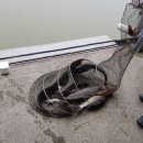 중부낚시터 이미지