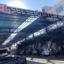 서산셀세모 이미지