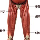 세븐티식스 퍼스널트레이닝 이미지