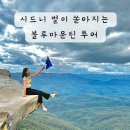 에스엔제이 에코(S&J ECO) | 시드니 별이 쏟아지는 블루마운틴 투어 추천 옷차림 날씨 내돈내산