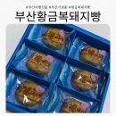 황금유통 | [해바라기] 부산 기념품 추천할만한 부산황금돼지빵 직접 먹어본 후기!