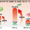 이리옴프라자 이미지