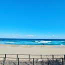 정동진역 이미지