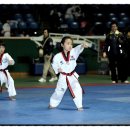 태권도 고수회 이미지