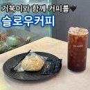 강남이색카페 추천 거북이와 물고기들이 있는 슬로우커피