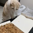 타코앤꼬치 이미지